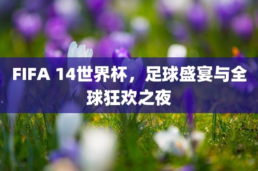 奪寶的最新成員是誰，奪寶新成員揭曉！