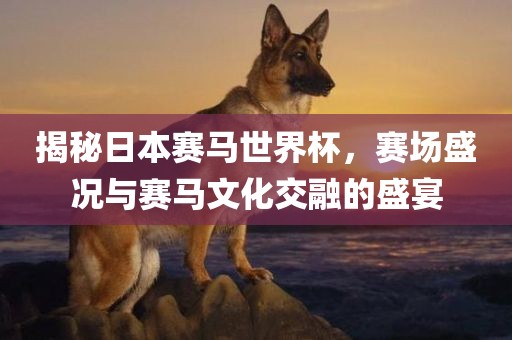 7777788888新王中王彩圖網(wǎng)福建體彩超級跟2025年新澳正版免費(fèi)大全的全面釋義精準(zhǔn)六肖-小重慶水生網(wǎng)生態(tài)農(nóng)業(yè)發(fā)展有限公司心言過其實(shí)推廣,前沿剖析、專家解讀解釋與落實(shí)